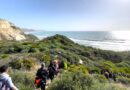 Trekking a Torre Salsa tra erbe selvatiche, panorami mozzafiato e spiagge selvagge (VIDEO)